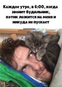 именно в это время котик успокаивается и ложится спать!
