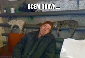 О чем звезды лгали публике?