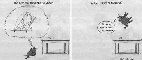 Кот столкнулся с реальностью, когда попытался реализовать свой план
