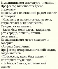 Смешные и познавательные картинки