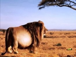 После пива...