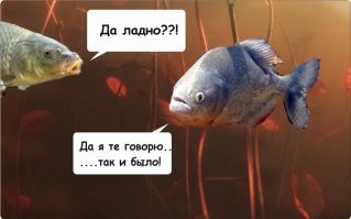 Сахалинский рыбак опустил смартфон в ледяную воду и снял косяки наваги крупным планом