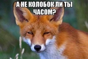 Как приручить лису