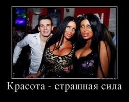 Смешные и познавательные картинки