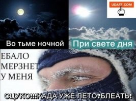 Подкралась незаметно: иностранец о русской зиме