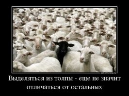 Намешалось