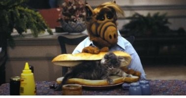 Смешные картинки