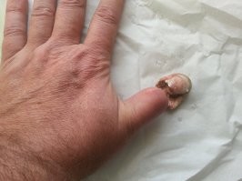 Можно еще цепь на мотоцикле смазать)))