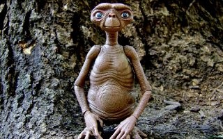 Намешалось