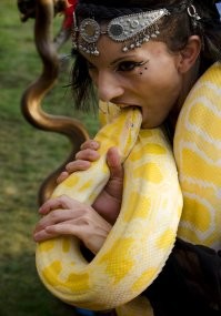 это кто здесь закуска