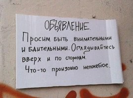 Смешные и познавательные картинки