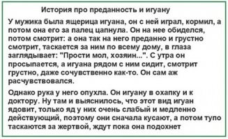 Девушка засыпала со своим питоном, пока не заподозрила нечто