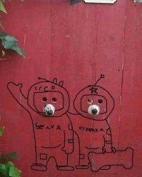 Намешалось