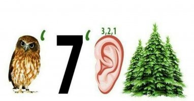 Актриса Рената Литвинова: "Государство обязано давать деньги на кино, но не имеет права диктовать , что снимать"