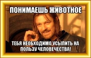 Депутаты Госдумы запротестовали, узнав, что Бузова размечталась исполнить гимн России на Параде Победы