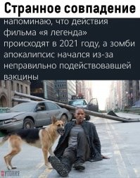 Довольны ли вы тем, как ваше правительство борется с пандемией?