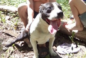 2 месяца / 2 года