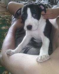 2 месяца / 2 года