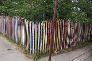 Забор учителя физкультуры