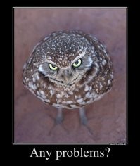 Весёлые картинки