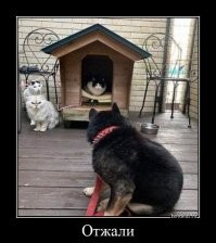 Смешные и познавательные картинки