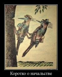 Весёлые картинки