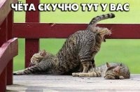Фотоподборка