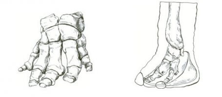 автор лукавит, может показаться с определённого ракурса....