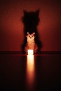 Москвич утилизировал сухой лед в унитазе и устроил жителям многоэтажки туман со спецэффектами