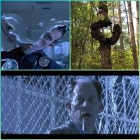 Окружены, но не сломлены