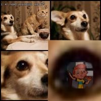 Окружены, но не сломлены