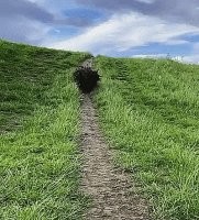 если такого пёселя увидеть ночью, то, как минимум, поносом ноги оторвет!