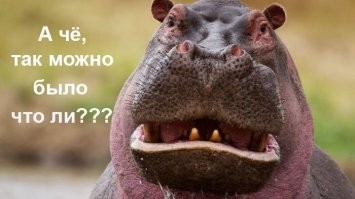 В Хабаровске "пукающего" майора - тиктокера  уволили из полиции