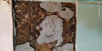 Везет же! А у меня в доставшейся по наследству сталинке просто мрак! До капремонта ордами бегали, через месяц после ремонта опять появились. Передвигаются мелкими группами по 20-30 особей. Никакие яды не берут, буквально на 3-4 дня их становится меньше, а потом опять налазят откуда-то. Даже борная кислота не берет...