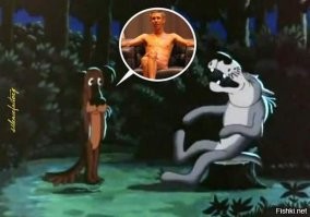 Полицейский упал в сугроб, убегая от своры собак