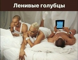 Где городские голуби прячут своих птенцов