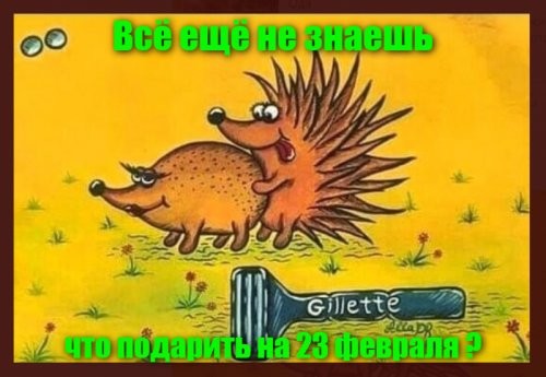 О политике и не только