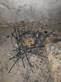 На чердаках они вот такие :)