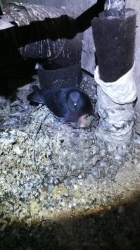 На чердаках они вот такие :)