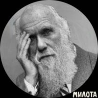 Самоделка для заточки ножей чуть не убила инженера из мира ТикТока