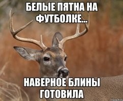 Смешные и познавательные картинки