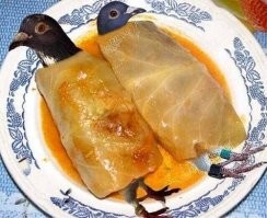 Где городские голуби прячут своих птенцов