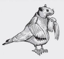 Где городские голуби прячут своих птенцов