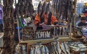 Вот рыба! Плюс литров 5 светлого. Вполне резонно мне заметят - вредно для здоровья, мол. Полноте, господа! Удовольствия то, удовольствия!