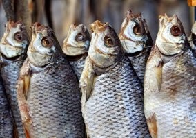 Вот рыба! Плюс литров 5 светлого. Вполне резонно мне заметят - вредно для здоровья, мол. Полноте, господа! Удовольствия то, удовольствия!