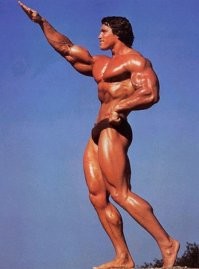 Лучшие фотографии молодого Арнольда Шварценеггера!