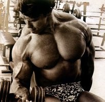 Лучшие фотографии молодого Арнольда Шварценеггера!