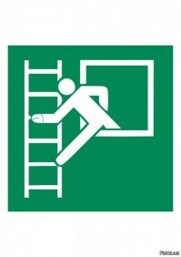 Смешные и познавательные картинки