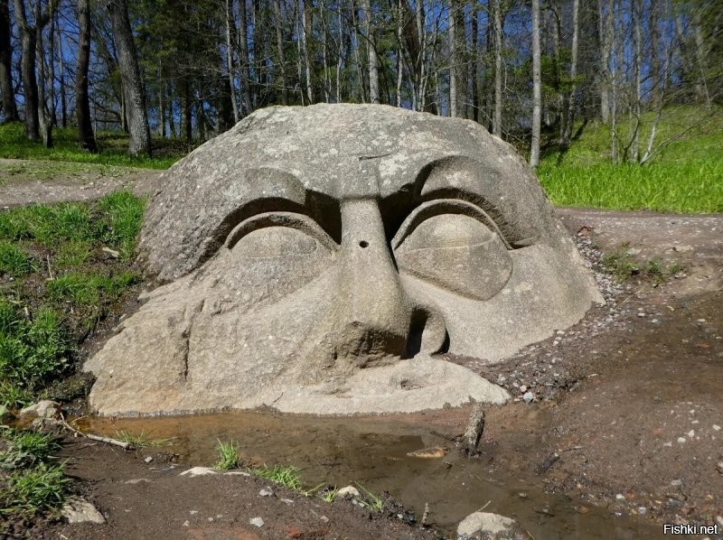 Голова в Лихтенбергском парке, Петергоф.