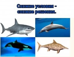Почему крыши китайских традиционных зданий загнуты вверх?